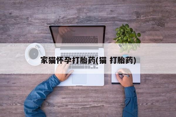 打胎药私人店微信家猫怀孕打胎药(猫 打胎药)