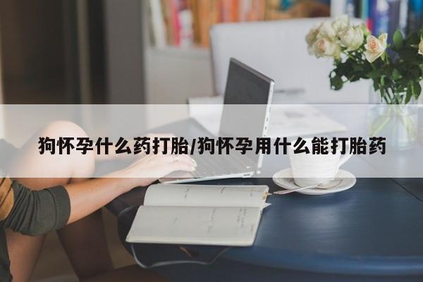 打胎药私人店微信狗怀孕什么药打胎/狗怀孕用什么能打胎药
